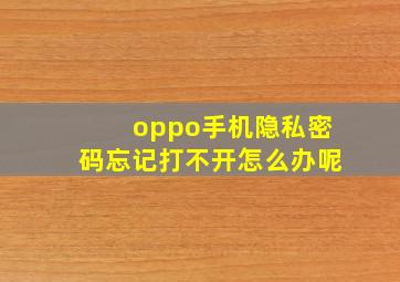 oppo手机隐私密码忘记打不开怎么办呢