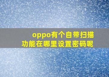 oppo有个自带扫描功能在哪里设置密码呢