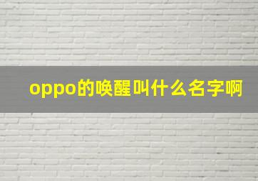 oppo的唤醒叫什么名字啊