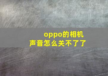 oppo的相机声音怎么关不了了