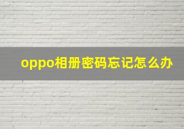 oppo相册密码忘记怎么办