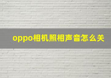 oppo相机照相声音怎么关