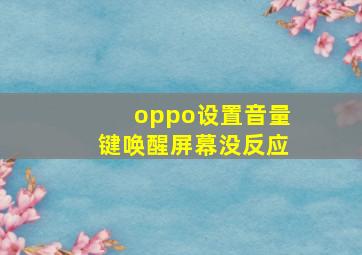 oppo设置音量键唤醒屏幕没反应