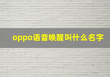 oppo语音唤醒叫什么名字