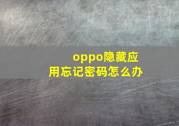 oppo隐藏应用忘记密码怎么办