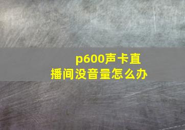 p600声卡直播间没音量怎么办