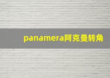 panamera阿克曼转角