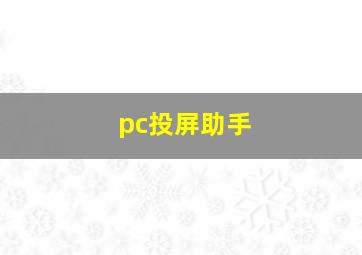 pc投屏助手