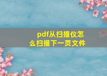 pdf从扫描仪怎么扫描下一页文件