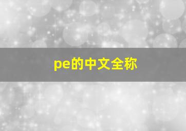 pe的中文全称