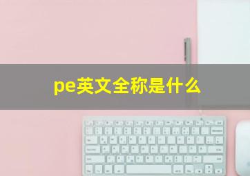 pe英文全称是什么