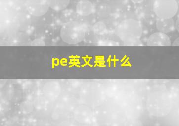 pe英文是什么