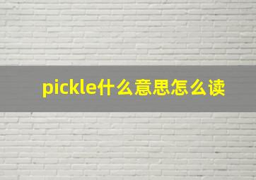 pickle什么意思怎么读