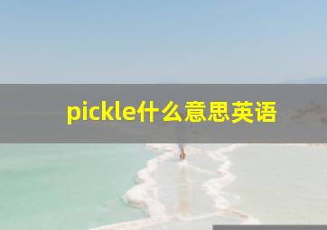 pickle什么意思英语