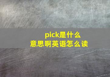 pick是什么意思啊英语怎么读