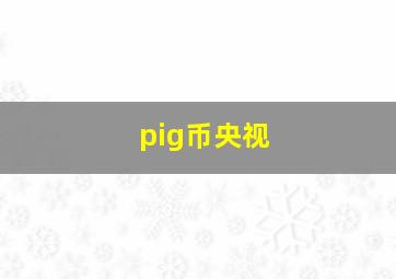 pig币央视