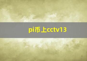 pi币上cctv13