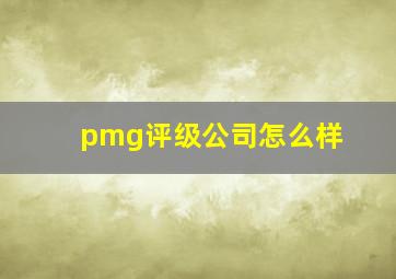 pmg评级公司怎么样