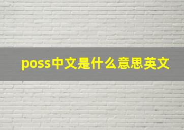 poss中文是什么意思英文