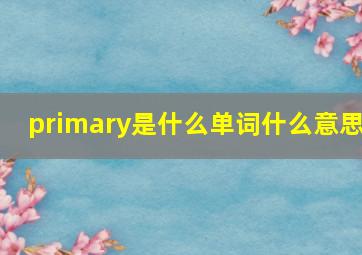 primary是什么单词什么意思