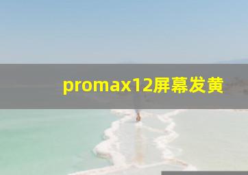 promax12屏幕发黄