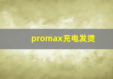 promax充电发烫