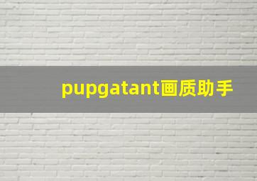 pupgatant画质助手