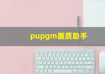 pupgm画质助手