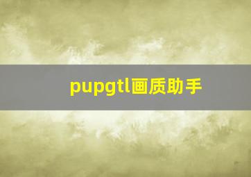 pupgtl画质助手