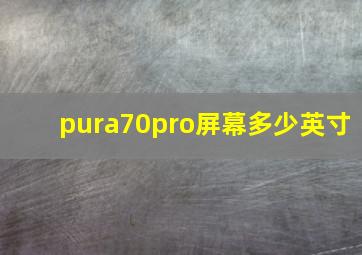 pura70pro屏幕多少英寸