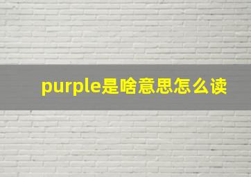 purple是啥意思怎么读