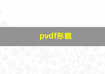 pvdf形貌