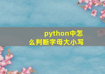 python中怎么判断字母大小写