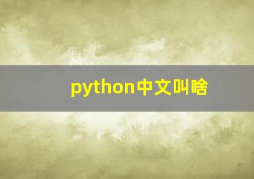 python中文叫啥