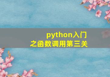 python入门之函数调用第三关