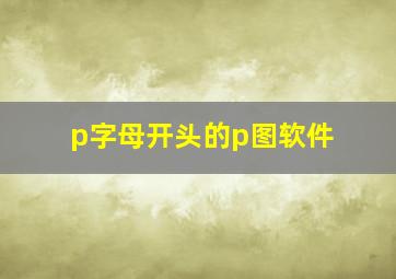 p字母开头的p图软件