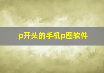 p开头的手机p图软件