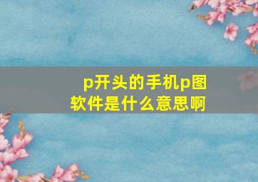 p开头的手机p图软件是什么意思啊