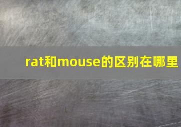 rat和mouse的区别在哪里