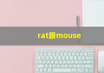 rat跟mouse