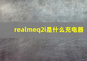 realmeq2i是什么充电器