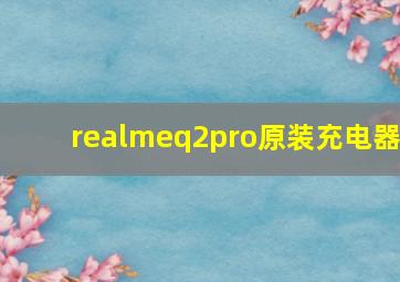 realmeq2pro原装充电器