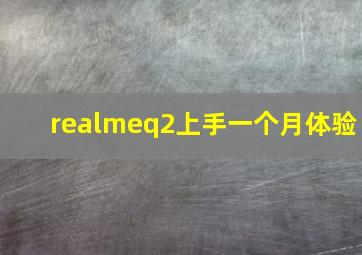 realmeq2上手一个月体验