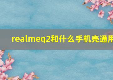 realmeq2和什么手机壳通用