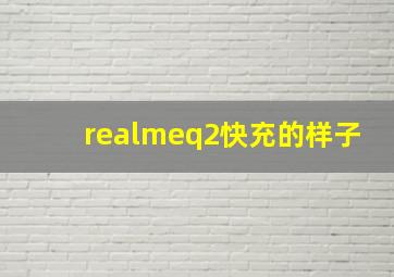 realmeq2快充的样子