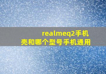 realmeq2手机壳和哪个型号手机通用