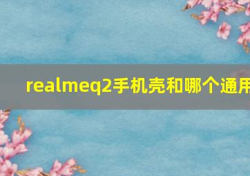 realmeq2手机壳和哪个通用