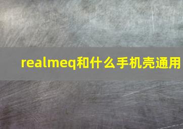 realmeq和什么手机壳通用