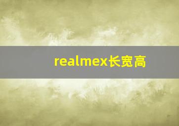 realmex长宽高