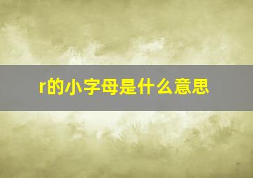 r的小字母是什么意思